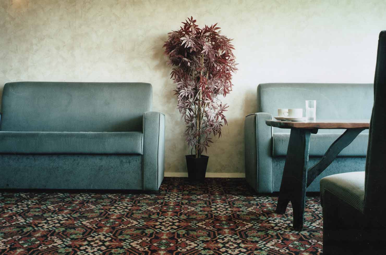 7_plant_watchet_somerset.jpg